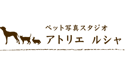 ペット写真スタジオ アトリエ ルシャ│犬/猫/小動物/出張撮影
